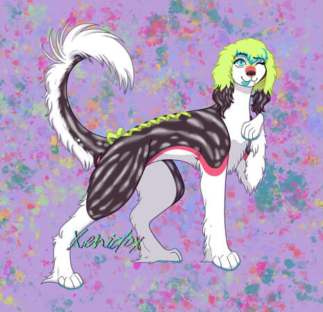Shaded Lined Full Body